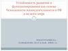 Устойчивость развития и функционирования, как основа безопасности жизнедеятельности в РФ и во всем мире