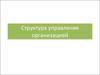 Структура управления организацией