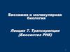 Транскрипция. Биосинтез РНК. (Лекция 7)