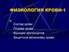 Состав крови. Плазма крови. Функции эритроцитов. Защитные механизмы крови