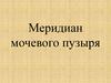 Меридиан мочевого пузыря