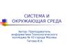 Система и окружающая среда