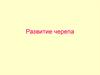 Развитие черепа