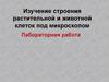 Строение растительной и животной клеток под микроскопом