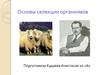 Основы селекции организмов