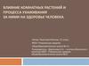 Фитонцидная активность комнатных растений
