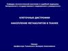 Клеточные дистрофии. Накопление метаболитов в тканях