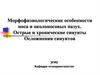 Морфофизиологические особенности носа и околоносовых пазух. Острые и хронические синуиты осложнения синуитов. (Лекция 1)