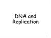 DNA and Replication