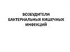 Возбудители бактериальных кишечных инфекций