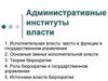 Административные институты власти. Правительство