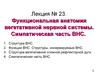 Функциональная анатомия вегетативной нервной системы. Симпатическая часть ВНС (лекция № 23)