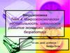 Макроэкономика. Макроэкономическая нестабильность: циклическое развитие экономики, инфляция, безработица. Тема 4