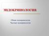 Эндокринология. Общая эндокринология. Частная эндокринология