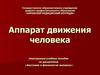Аппарат движения человека