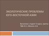 Экологические проблемы Юго - Восточной Азии