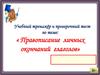 Учебный тренажёр и проверочный тест по теме: «Правописание личных окончаний глаголов»
