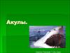 Акулы