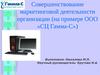 Совершенствование маркетинговой деятельности организации (на примере ООО «СЦ Гамма-С»)