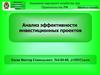 Анализ эффективности инвестиционных проектов