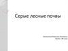 Серые лесные почвы