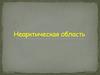 Неарктическая область