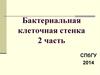 Бактериальная клеточная стенка 2 часть