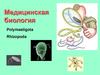 Медицинская биология