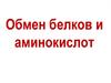 Обмен белков и аминокислот