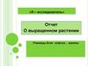 Отчет о выращенном растении