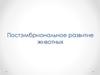 Постэмбриональное развитие животных