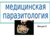 Тип членистоногие. Медицинская арахноэнтомология. (Лекция 6)