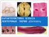 Характеристика класса ленточные черви