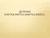 Деление клетки. Митоз. Амитоз. Мейоз