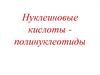 Нуклеиновые кислоты - полинуклеотиды