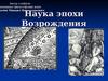 Наука эпохи Возрождения