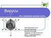 Вирусы (урок 9 кл)