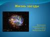 Жизнь звезды