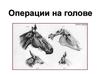 Операции на голове
