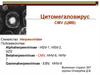 Цитомегаловирус CMV (ЦМВ)