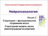 Структурно – функциональное созревание мозга. Структурная модель мозга, межполушарная ассиметрия
