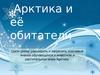 Арктика и её обитатели