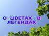 О цветах в легендах