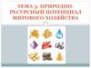 Природно-ресурсный потенциал мирового хозяйства