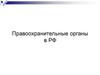 Правоохранительные органы в РФ
