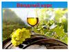 Вводный курс. Добро пожаловать в мир алкоголя