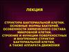 Структура бактериальной клетки. Основные формы бактерий. Лекция 1