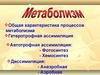 Общая характеристика процессов метаболизма