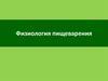 Физиология пищеварения