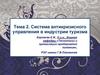 Система антикризисного управления в индустрии туризма. (Тема 2)